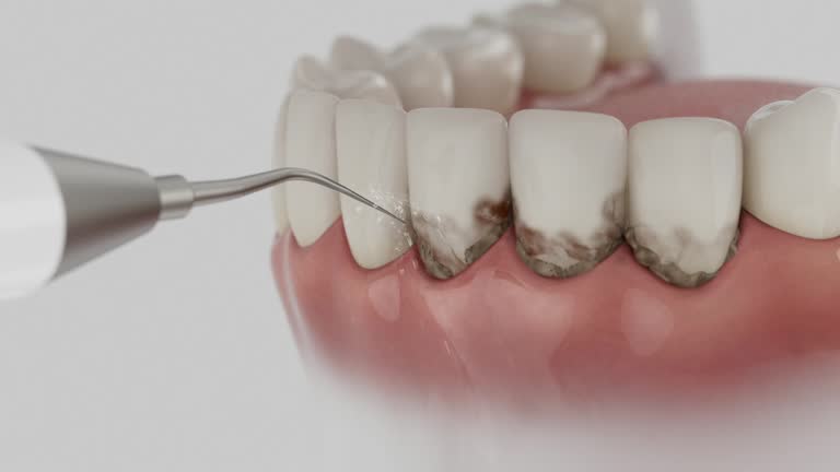 Reliable Dental contractor in Silver Spring, MD by Dentist Open Now